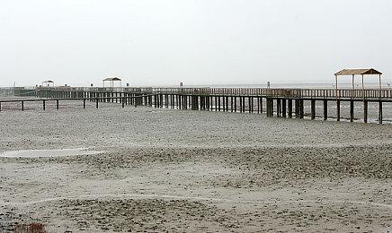 《赤痕：夜之仪式》更新将加入非该世界的新角色